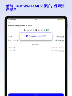Trust Wallet 中文界面 7